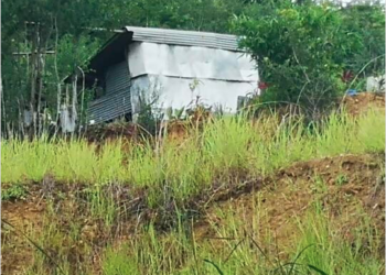 En lugar el se están levantando construcciones ilegales, entre ellas, un rancho donde habita una familia con menores de edad