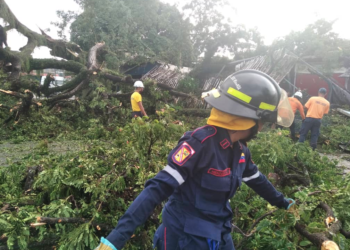 En Ocumare del Tuy los bomberos de Miranda trabajan con “las uñas”.