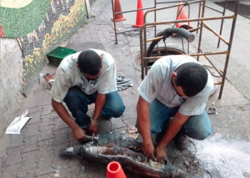 Los trabajos de recuperación incluyeron maniobras de reparación y empalme de cables