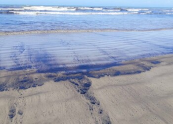 Las playas quedaron muy afectadas por la sustancia oleaginosa