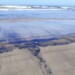 Las playas quedaron muy afectadas por la sustancia oleaginosa