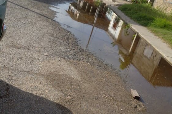 El agua de la Laguna de Tacarigua comenzó a inundar los patios de cuatro viviendas en el sector Belén