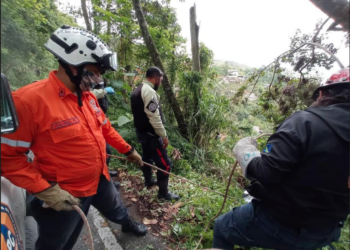 Funcionarios de Protección Civil que estaban en el lugar del hallazgo, señalaron que el cuerpo de la victima “no presentaba impactos de bala ni heridas provocada por arma blanca”.
CORTESIA / PC-LOS SALIAS