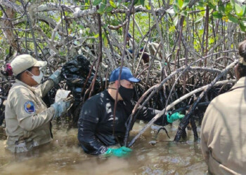 El Gobierno Nacional divulgó imágenes de las labores de saneamiento realizadas en los cayos del Parque Nacional Morrocoy