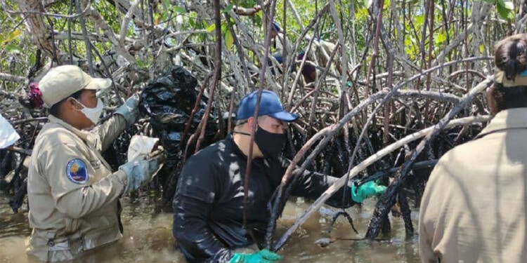 El Gobierno Nacional divulgó imágenes de las labores de saneamiento realizadas en los cayos del Parque Nacional Morrocoy