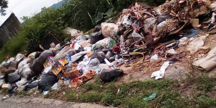 Habitantes de Madosa y Los Olivos de Charallave piden que se optimice la recolección de basura