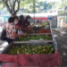 La feria se encuentra ubicada entre las calles Cujicito y El Cementerio de Cúa, de lunes a viernes de 8:00 am a 2:00 de la tarde