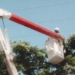 En Guarenas, Guatire y Caucagua continúan despejando vegetación que interfiere con el tendido eléctrico* 