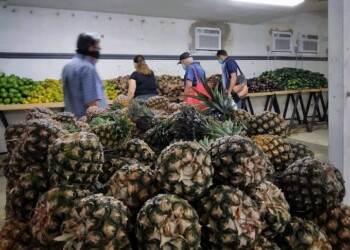 Los precios de los alimentos siguen aumentando sin parar
FOTO MAIRET CHOURIO/EFECTO COCUYO