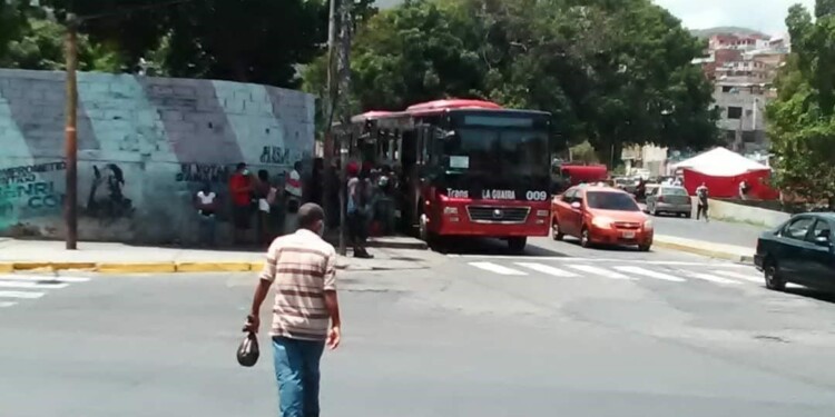 Las paradas de los buses ya no se dan abasto en La Guaira