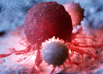 Illustration of white blood cells attacking a cancer cell.