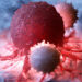 Illustration of white blood cells attacking a cancer cell.