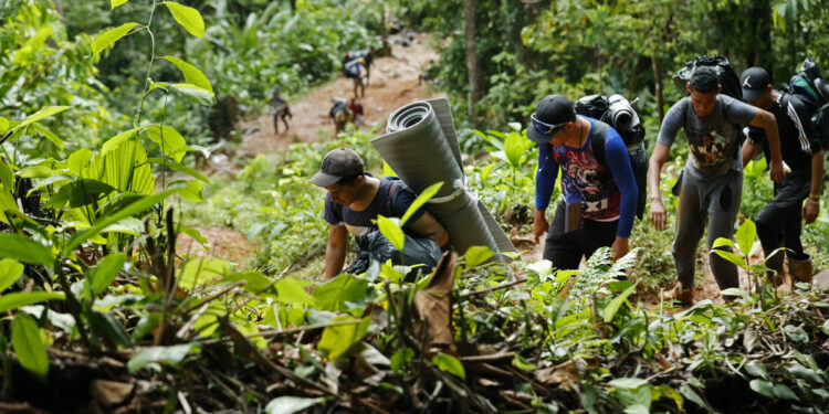 ACOMPAÑA CRÓNICA: CRISIS MIGRATORIA***AME3342. TAPÓN DEL DARIÉN (COLOMBIA), 10/10/2022.- Migrantes venezolanos suben una montaña con la intención de llegar a Panamá, el 8 de octubre de 2022 en el Tapón del Darién (Colombia). Cuando José Juan le dijo a Steven que quería ir a EE.UU. por el Darién, su hijo de 7 años le dijo que eso era peligroso, que era mejor hacerlo en avión, pero aún así ahora lidera enérgico el grupo de migrantes que comienza su travesía por esta inhóspita selva que separa a Colombia de Panamá. Como ellos, más de 150.000 personas -el 60 % de ellos venezolanos- han decidido cruzar en lo que va de año por uno de los pasos migratorios más peligrosos del mundo, una travesía que puede durar la semana por una selva montañosa donde no hay ley. EFE/Mauricio Dueñas Castañeda