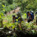 ACOMPAÑA CRÓNICA: CRISIS MIGRATORIA***AME3342. TAPÓN DEL DARIÉN (COLOMBIA), 10/10/2022.- Migrantes venezolanos suben una montaña con la intención de llegar a Panamá, el 8 de octubre de 2022 en el Tapón del Darién (Colombia). Cuando José Juan le dijo a Steven que quería ir a EE.UU. por el Darién, su hijo de 7 años le dijo que eso era peligroso, que era mejor hacerlo en avión, pero aún así ahora lidera enérgico el grupo de migrantes que comienza su travesía por esta inhóspita selva que separa a Colombia de Panamá. Como ellos, más de 150.000 personas -el 60 % de ellos venezolanos- han decidido cruzar en lo que va de año por uno de los pasos migratorios más peligrosos del mundo, una travesía que puede durar la semana por una selva montañosa donde no hay ley. EFE/Mauricio Dueñas Castañeda