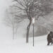 -FOTODELDÍA-Buffalo (Estados Unidos), 24/12/2022.- Una persona navega por la nieve profunda durante una tormenta invernal que afecta a gran parte de Estados Unidos, en Buffalo, Nueva York, EE.UU., el 24 de diciembre de 2022. Gran parte de Estados Unidos vive el invierno clima como resultado de una gran tormenta generada por un ciclón bomba, el fenómeno meteorológico cuando la presión atmosférica cae rápidamente en una fuerte tormenta. (Estados Unidos, Búfalo, Nueva York) EFE/EPA/JALEN WRIGHT